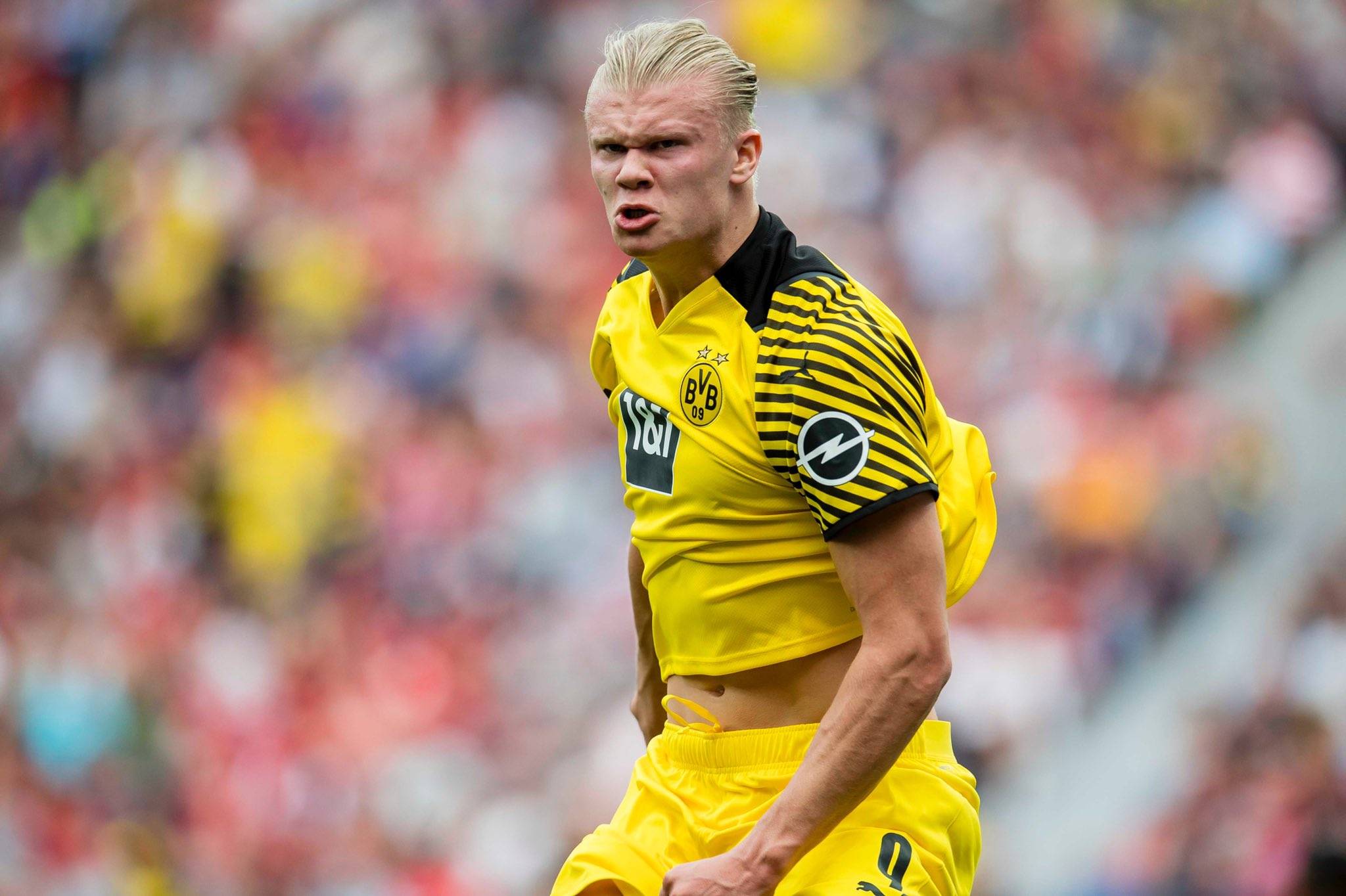 雕像的选址 雕像的选址